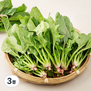 남해 시금치, 800g, 3봉