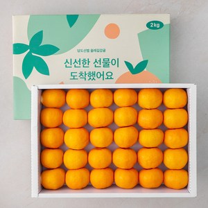 GAP 해풍맞은 올레길 Ai선별 당도선별 10bix감귤세트 로열과, 2kg, 1박스