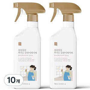 쉼표365 깔끔말끔 뿌리는 곰팡이제거제, 750ml, 10개