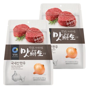 맛선생 한우 조미료, 250g, 2개