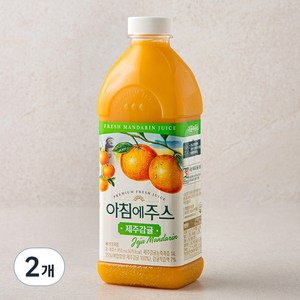 서울우유 아침에주스 제주감귤, 950ml, 2개