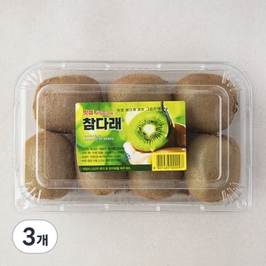 맛젤 참다래 점보 그린키위, 1kg, 3팩