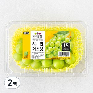 아리당찬 당도선별 샤인머스캣, 600g, 2팩