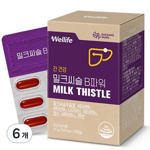 대상웰라이프 밀크씨슬 B파워 21g, 30정, 6개