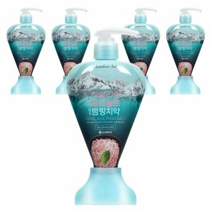 히말라야핑크솔트 밤부솔트 담은 펌핑치약 아이스, 285g, 5개