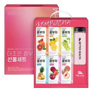 더존건강 더조은 콤부차 보틀 선물세트, 콤부차 6종 + 보틀 500ml, 1세트