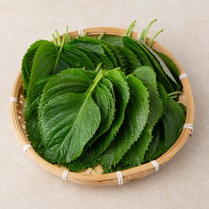 GAP 추부 깻잎, 100g, 1팩