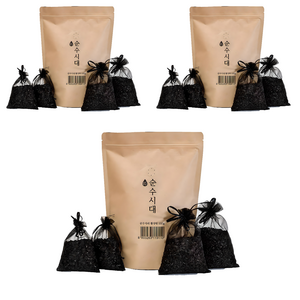 순수시대 활성탄 실내 탈취제 본품 + 망사주머니 4개, 500g, 3세트