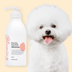 브리지테일 강아지 블루밍 화이트닝 샴푸, 1개, 500ml
