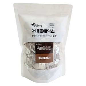 내몸에약초 차가버섯 삼각티백, 1g, 50개입, 1개