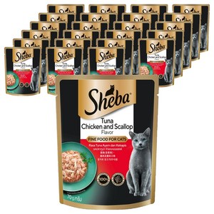 쉬바 고양이 주식 파우치