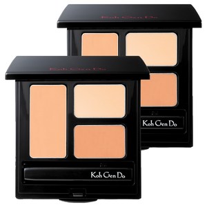 코겐도 모이스처 컨실러 4g, 혼합색상, 2개