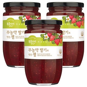 복음자리 무농약 딸기로 만든 잼, 500g, 500ml, 3개