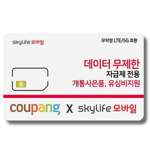 유심- KT skylife모바일 유심비지원 사은품 알뜰폰 자급제 LTE/5G 갤럭시S/아이폰13 사용가능 케이티아이폰