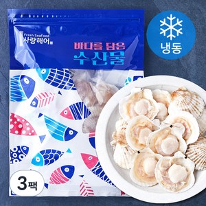 사랑해어 반가리비 21-24미 (냉동), 600g, 3팩