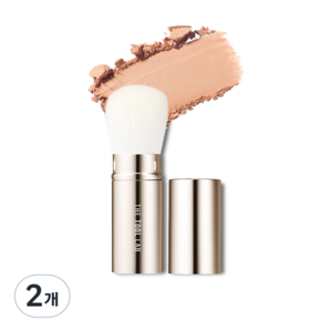 더툴랩 리트렉터블 파우더 브러쉬 301, 혼합색상, 2개