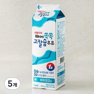 서울우유 뼈에 쏙쏙 고칼슘우유, 930ml, 5개