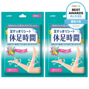 휴족시간 쿨링시트, 6개입, 2개