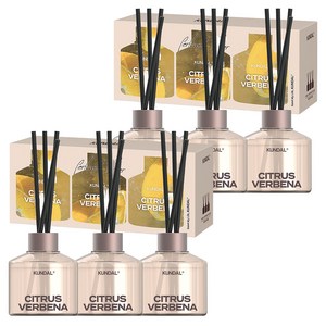 쿤달 퍼퓸 디퓨저 선물세트, 소프트솝향, 200ml, 6개