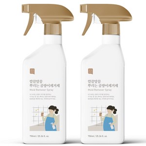 쉼표365 깔끔말끔 뿌리는 곰팡이제거제, 750ml, 2개