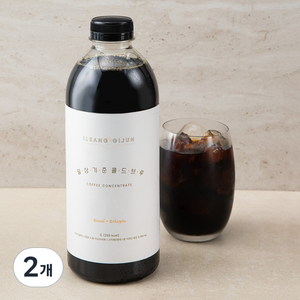 핸디엄 일상기준 콜드브루, 1L, 2개