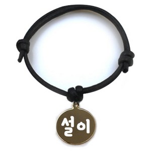 펫츠룩 굿모닝 블랙 반려동물 목걸이 S + 메탈원형 팬턴트 M, 골드(설이), 1개