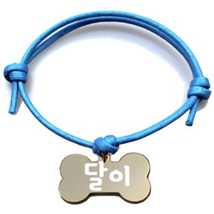 펫츠룩 굿모닝 블루 반려동물 목걸이 M + 메탈뼈다귀 팬던트 M, 골드(달이), 1개