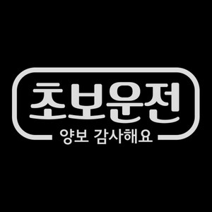 제제데코 심플라인 초보운전 스티커, 반사(밝은은색), 1개