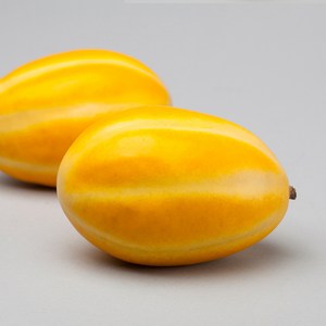 엠디자인 참외 모형, 혼합 색상