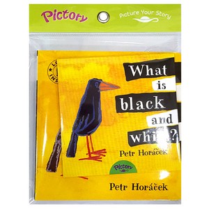 Pictoy Set IT-20: What is Black and White? (with Audio CD ), 투판즈