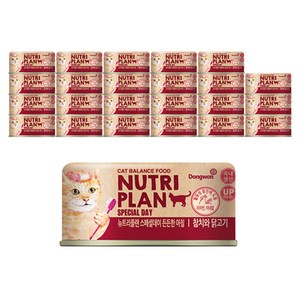 뉴트리플랜 스페셜데이 든든한아침 참치와 닭고기 고양이 습식캔, 90g, 24개
