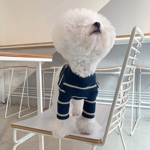 매그독 멜랑 스트라이프 반려동물 티셔츠, 네이비