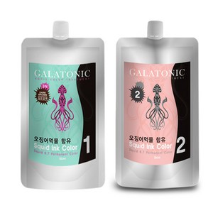 갈라토닉 스퀴드 잉크칼라 새치염색 1제 500ml + 2제 500ml, 3N짙은갈색, 1세트