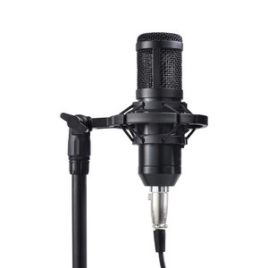 아리스노보 콘덴서 마이크 XLR 300 블랙, JTCM300