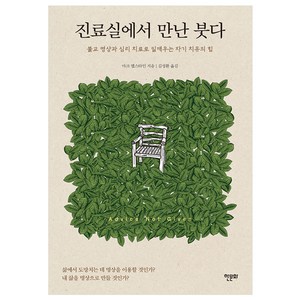 진료실에서 만난 붓다:불교 명상과 심리 치료로 일깨우는 자기 치유의 힘, 한문화, 마크 엡스타인 (지은이), 김성환 (옮긴이)