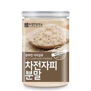 부영한방약초 차전자피 분말, 300g, 1개