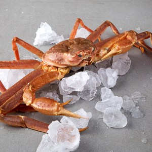 바이킹마켓 싱싱한 활 대게 (냉장), 1kg 내외, 1박스