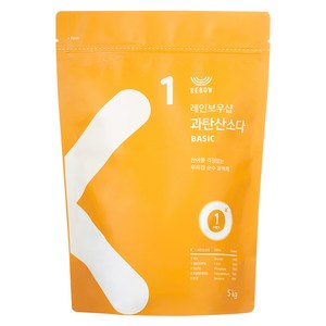 참자연 과탄산소다 산소계표백제, 5kg, 1개