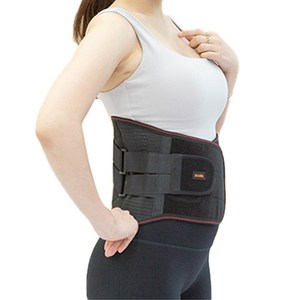 닥터콜린 허리보호대, 1개