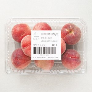 다조은 대극천 복숭아, 800g, 1팩