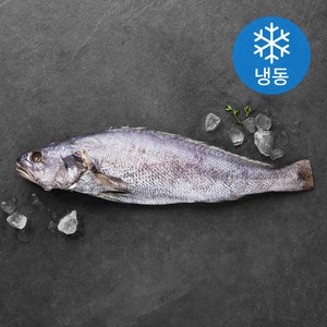 한올레 제주 통민어 (냉동), 280g, 1개