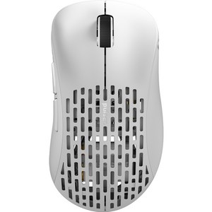펄사 Xlite V2 미디움 무선 마우스 PXW2, PXW22, 화이트