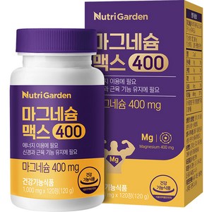 뉴트리가든 마그네슘 맥스400 120정, 1개