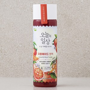 오늘의일상 자몽에이드 원액, 400ml, 1개