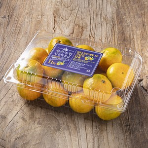 중문농협 황금빛 당도선별 11brix 감귤, 1.5kg(로열과), 1팩