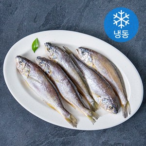 제주어부 참조기 (냉동), 350g, 5개