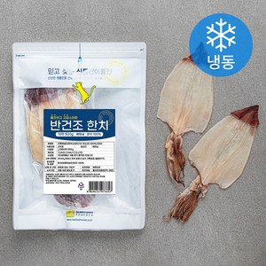 반건조 한치 대 10미 (냉동), 500g, 1개