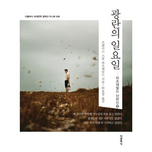 광란의 일요일(미니북), 스콧 피츠제럴드(저), 더클래식, 프랜시스 스콧 피츠제럴드