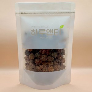 하루앤티 꾸지뽕 열매, 200g, 1개