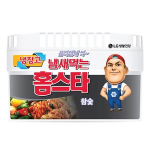 홈스타 냄새먹는 냉장고용 탈취제 참숯 본품, 420g, 1개